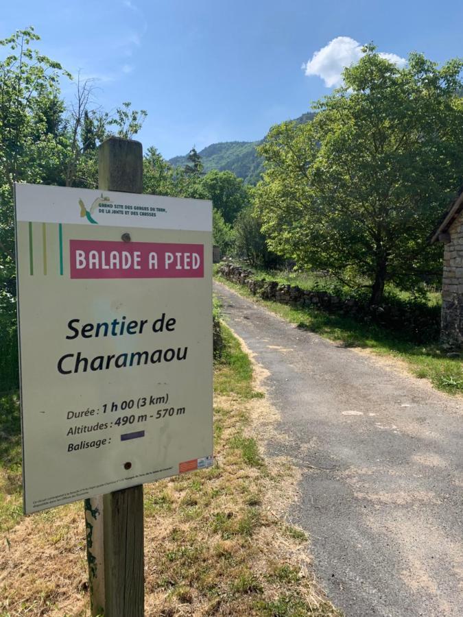 לינה וארוחת בוקר Quezac  La Voutee 5 Epis Avec Bain Finlandais Prive Au Manoir Du Charme Gorges Du Tarn מראה חיצוני תמונה
