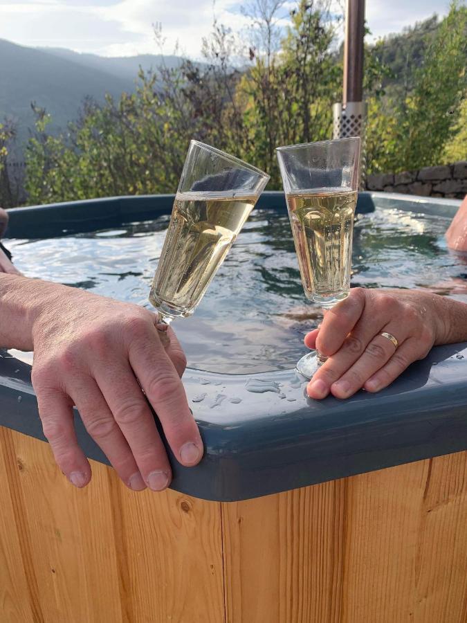 לינה וארוחת בוקר Quezac  La Voutee 5 Epis Avec Bain Finlandais Prive Au Manoir Du Charme Gorges Du Tarn מראה חיצוני תמונה